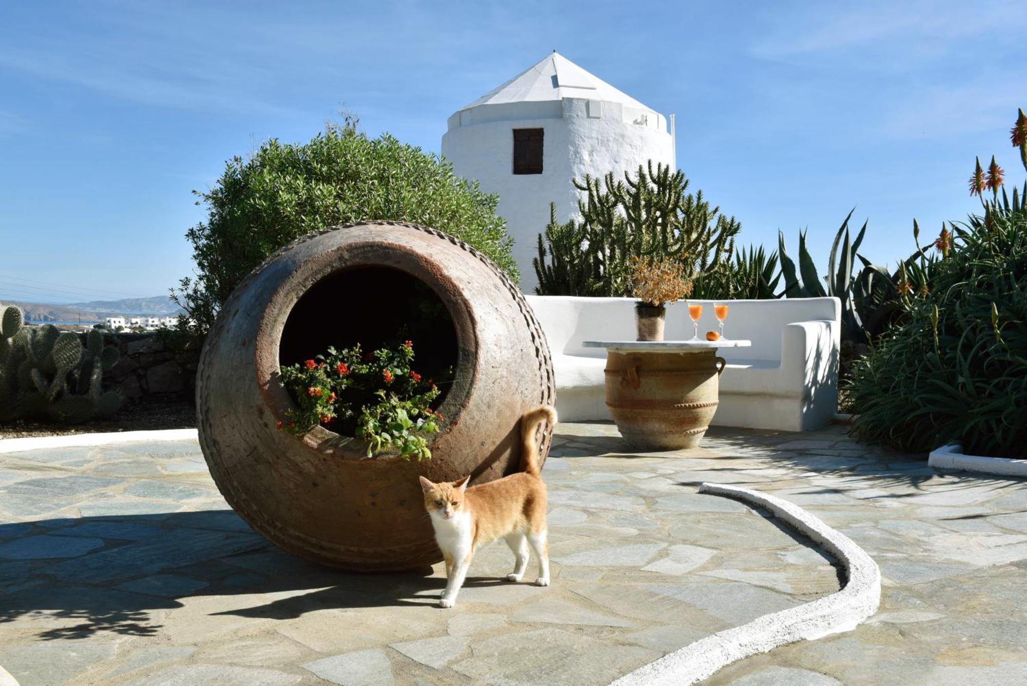 Anastasia'S Windmill And Anastasia'S Studio Plaka  Exterior foto